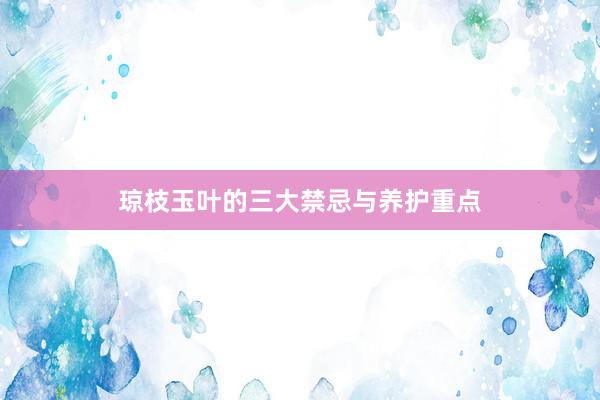 琼枝玉叶的三大禁忌与养护重点